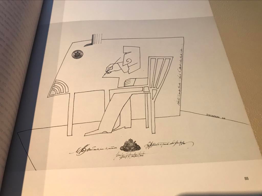 Saul Steinberg tekeningen 50pag, Ophalen of Verzenden, Zo goed als nieuw, Schilder- en Tekenkunst