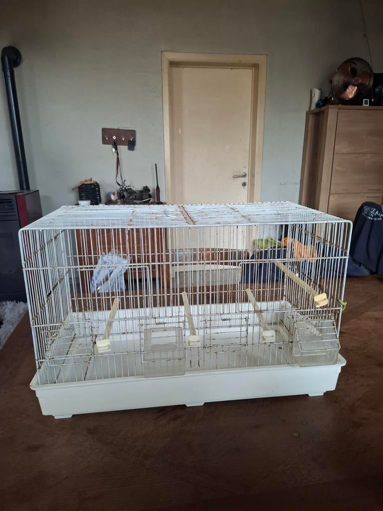Vogelkooi, Ophalen, Vogelkooi