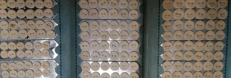 144 knopen, botrestauratie, Militaria, Verzamelen, Verzenden
