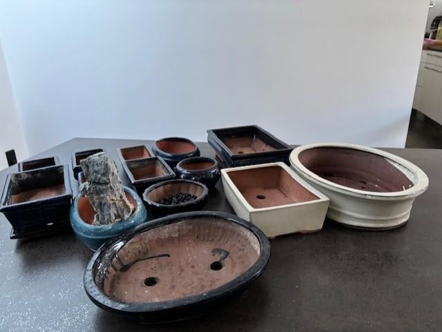 Pots pour bonzaï, Poterie, Enlèvement, Utilisé, Autres formes
