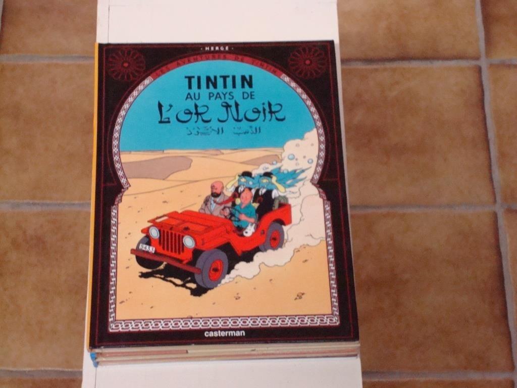 TINTIN  (petit format) (grand format), Ophalen of Verzenden, Kuifje, Gebruikt