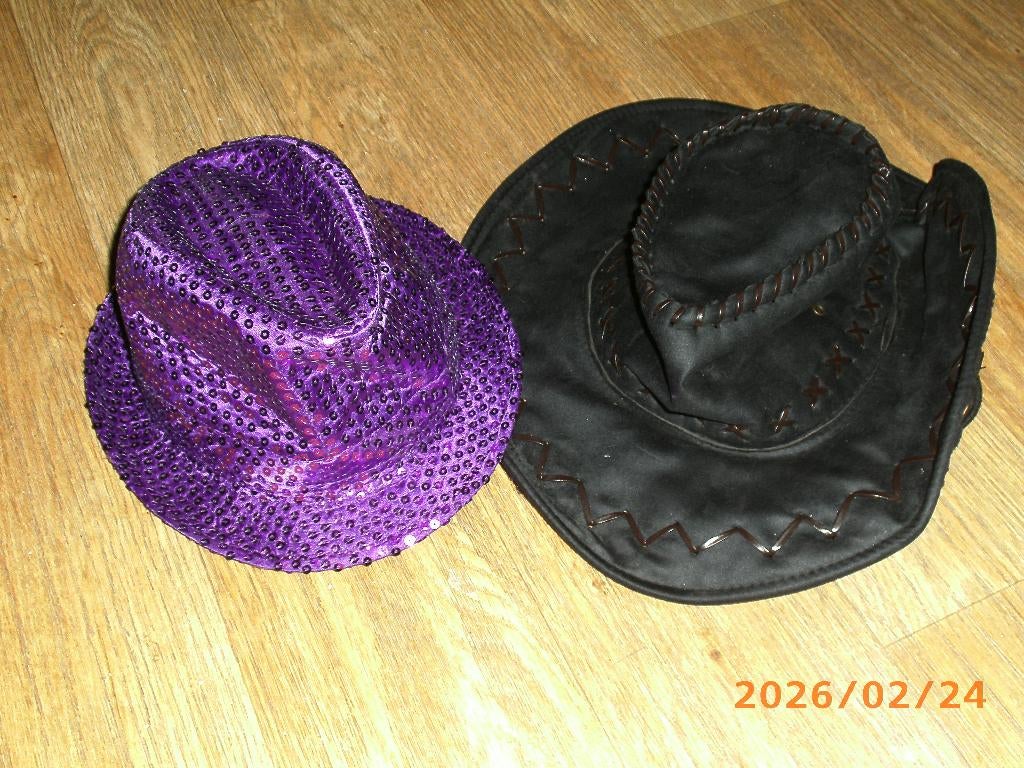 Divers chapeaux, casquettes a vendre, Enlèvement, Comme neuf, Article de fête