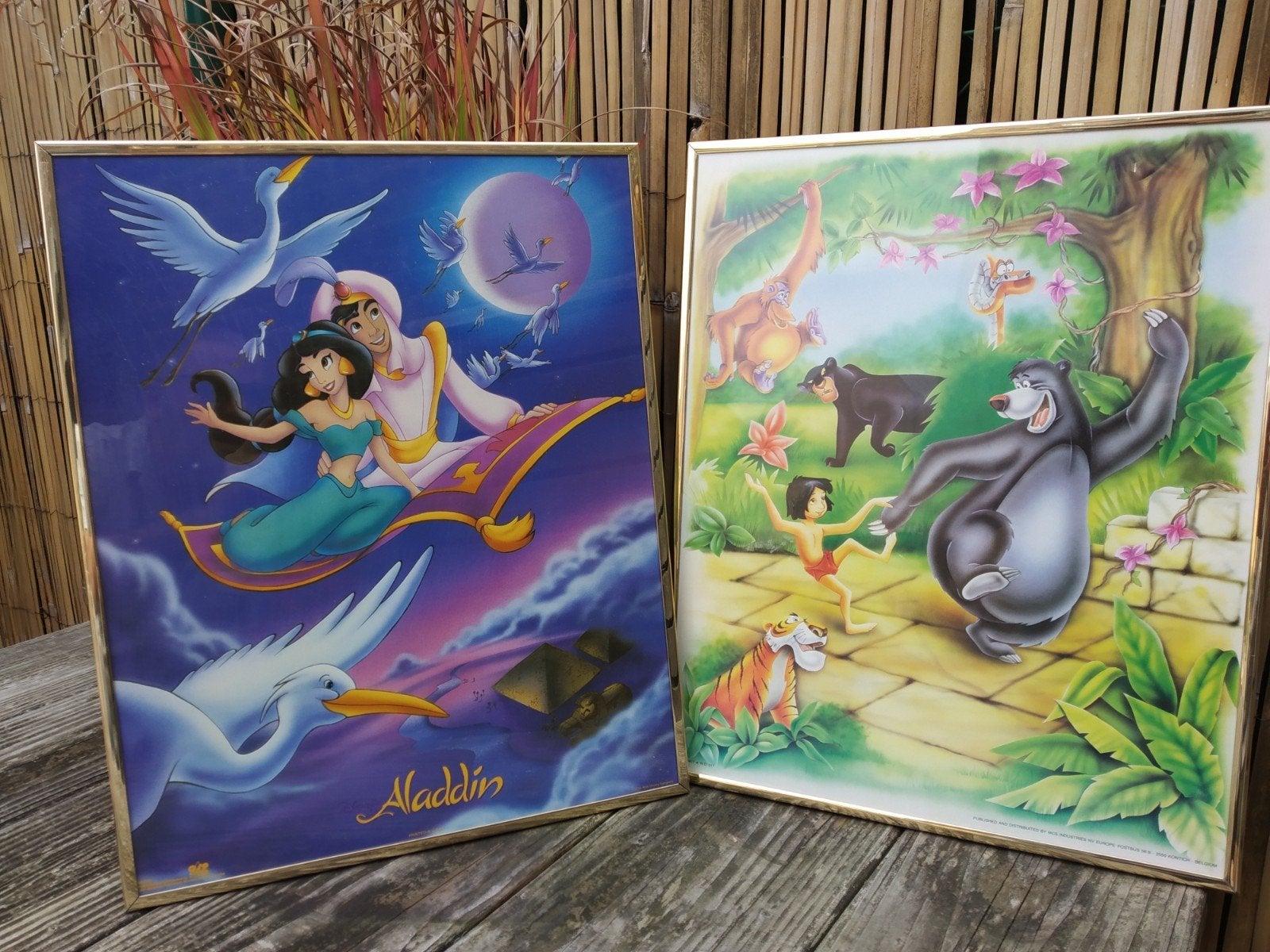 Cadres Disney, Enlèvement