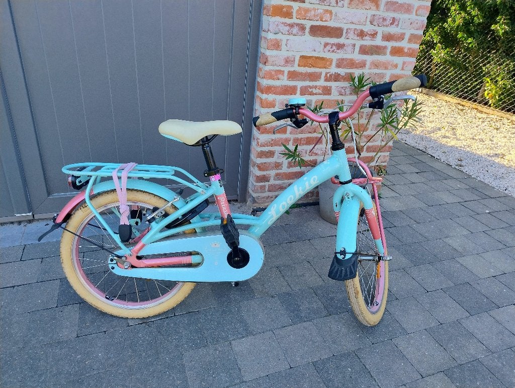 Meisjesfiets Loekie 18 inch, Fietsen en Brommers, Ophalen, Terugtraprem, 18 inch, Handrem