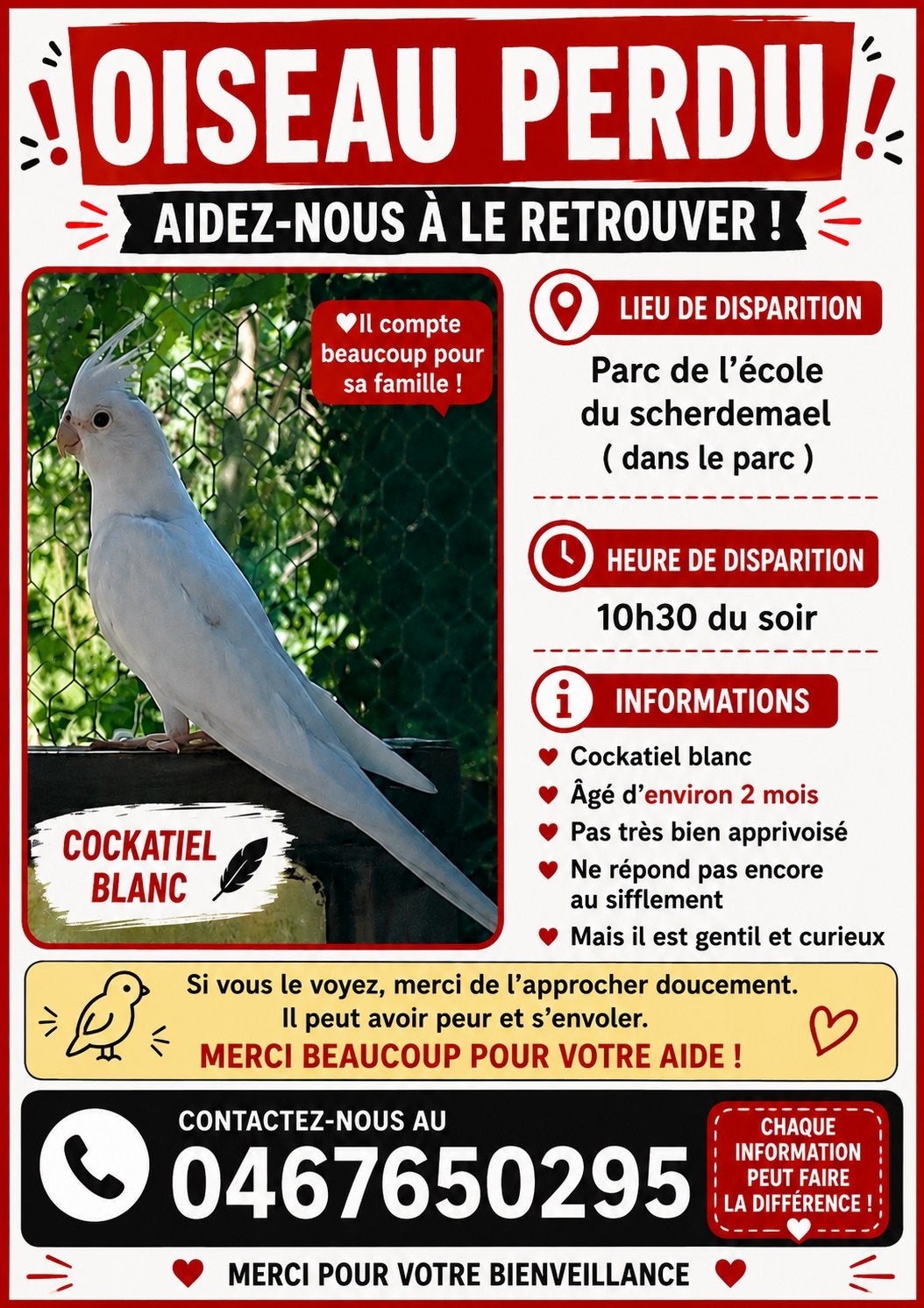 Calopsitte blanc perdu, Animaux & Accessoires, Envoi, Comme neuf