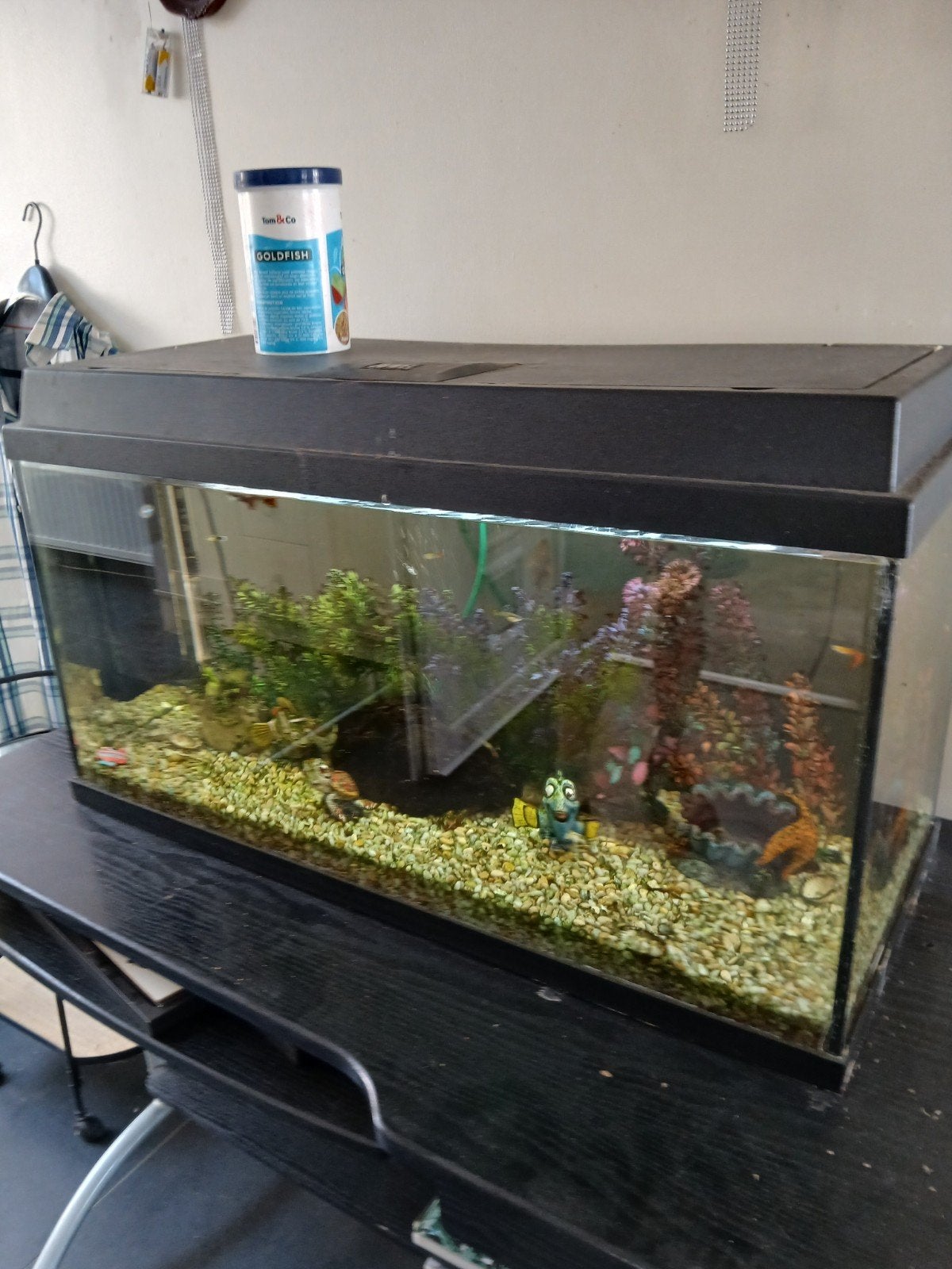 aquarium, Ophalen, Pomp