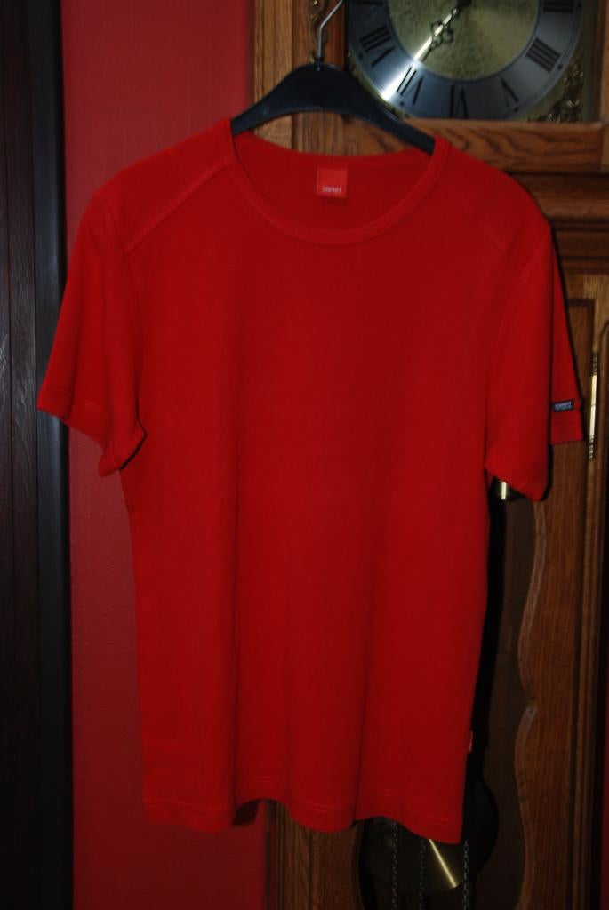 T-shirts van het merk voor heren, maat L voor €10 Zeer goede, Kleding | Heren, T-shirts, Maat 52/54 (L), Ophalen of Verzenden