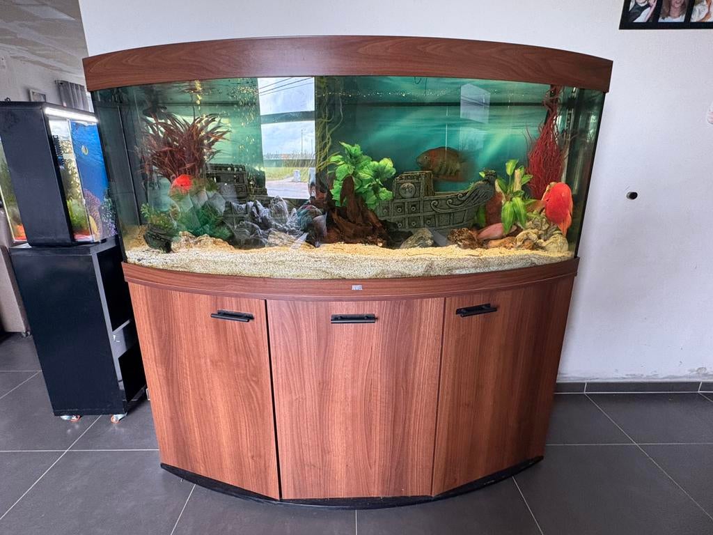 Aquarium Juwel 540L 150x60x60, Enlèvement, Comme neuf