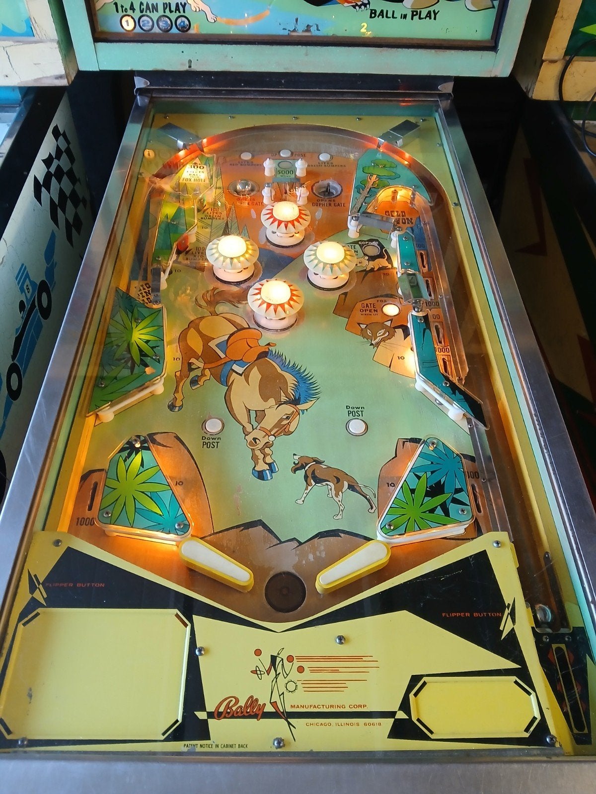Flipper Big Valley, Collections, Mécanique, Bally, Flipper (jeu), Enlèvement