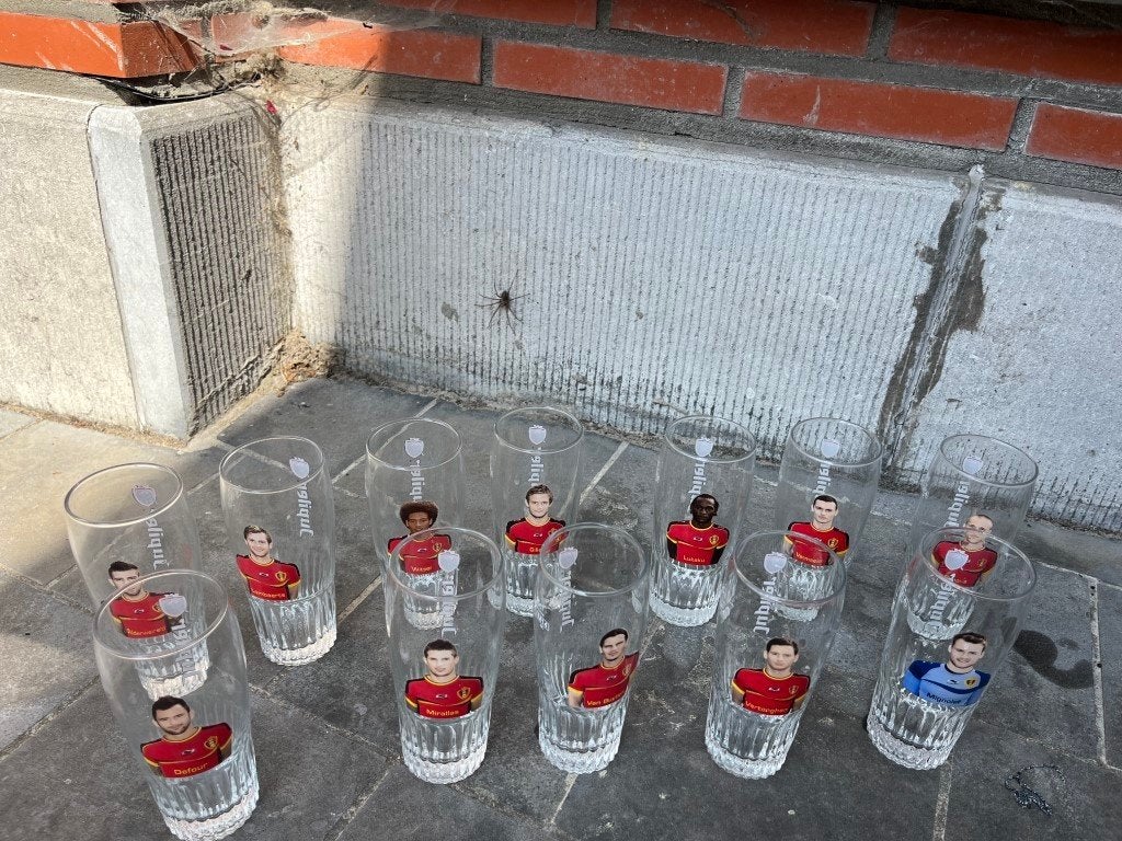 20 verres de Red Devils - Jupiler, Collections, Enlèvement ou Envoi, Jupiler