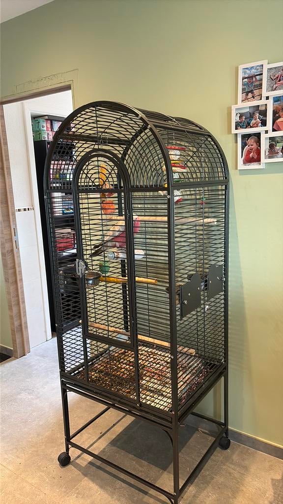 Cage a vendre comme neuf, Ophalen, Nieuw