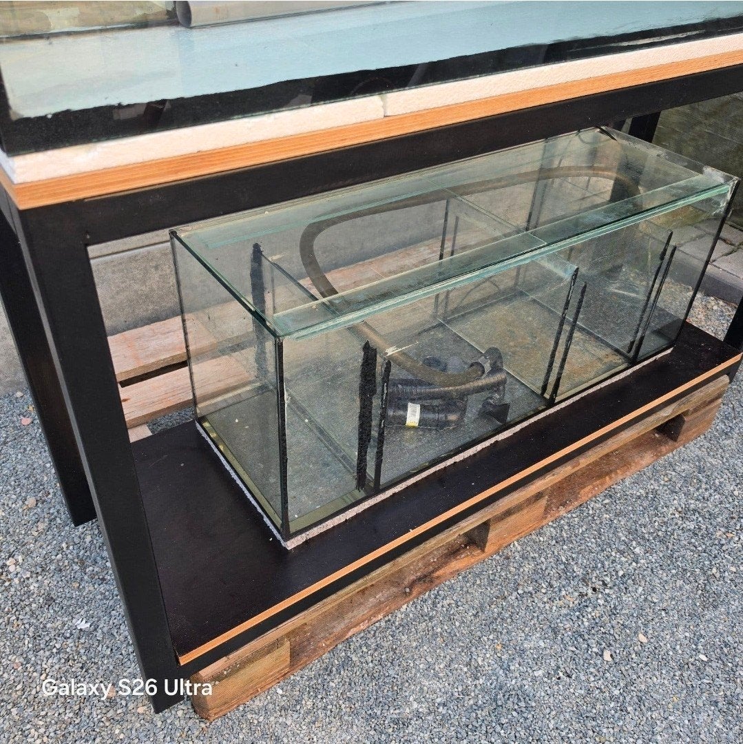 aquarium met bioloog, Dieren en Toebehoren, Ophalen, Filter, Eheim