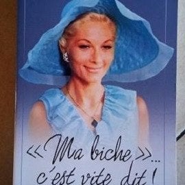 autobiographie de Claude Gensac cneuf, Boeken, Ophalen of Verzenden, Zo goed als nieuw, Claude Gensac, Film, Tv en Media