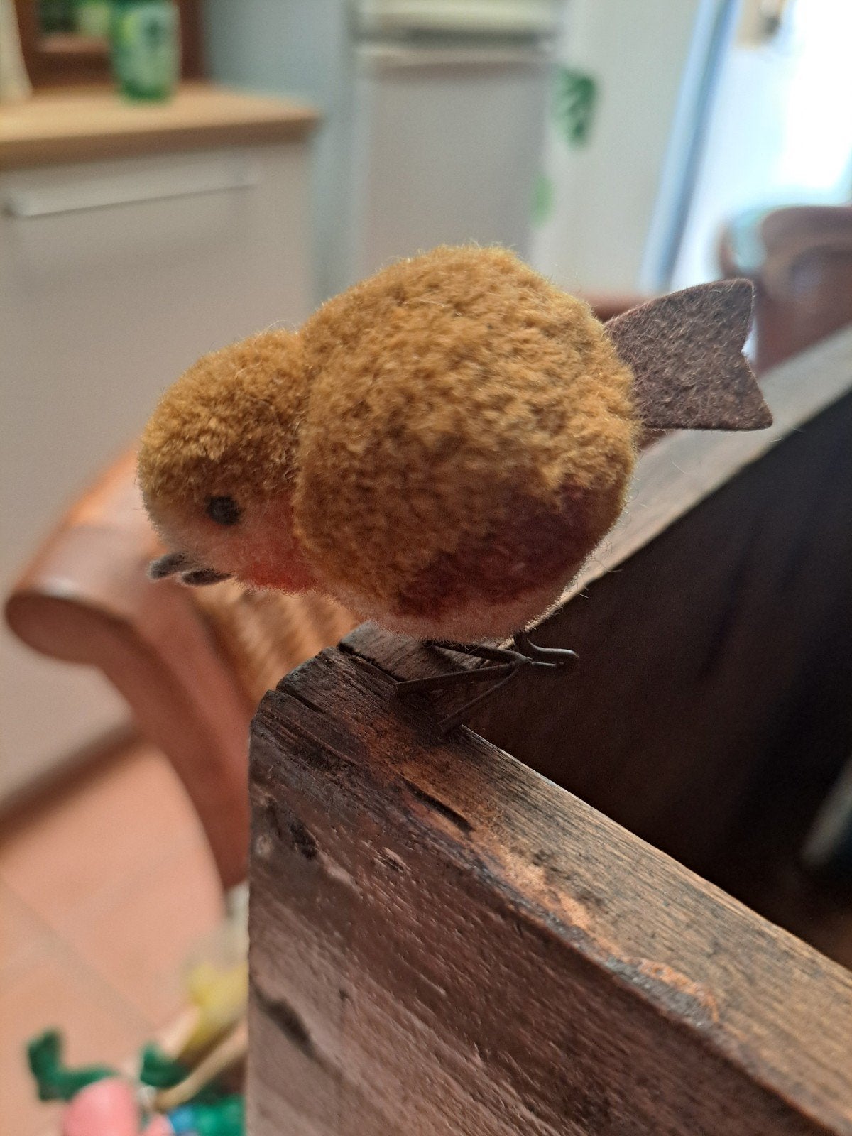 peluche, Enlèvement ou Envoi