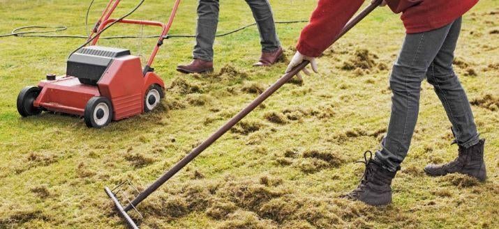 Verticuteren bij jou in de tuin, Tuin en Terras, Ophalen of Verzenden, Zo goed als nieuw, Benzine