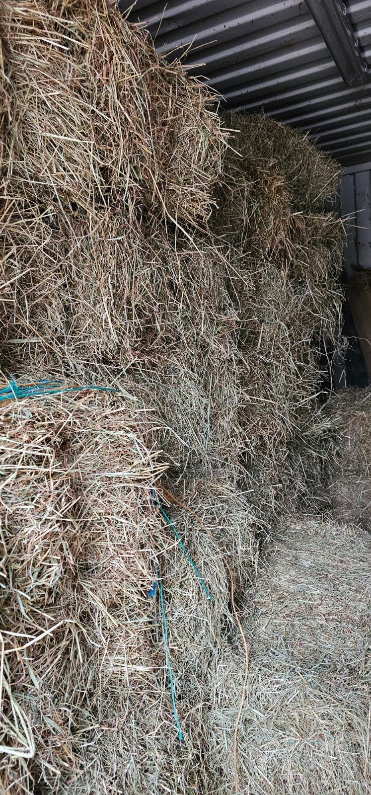 kleine balen hooi, Dieren en Toebehoren, Ophalen