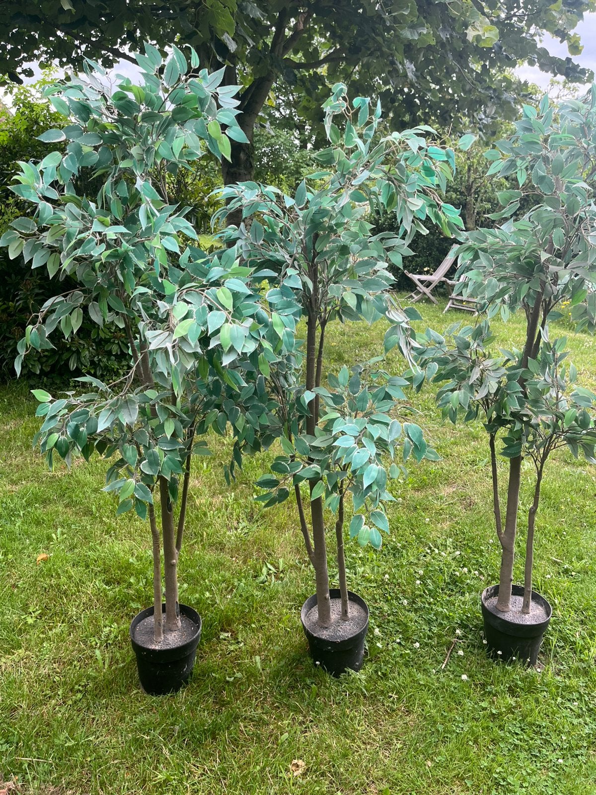 Decoratie planten fake planten boompjes, Ophalen