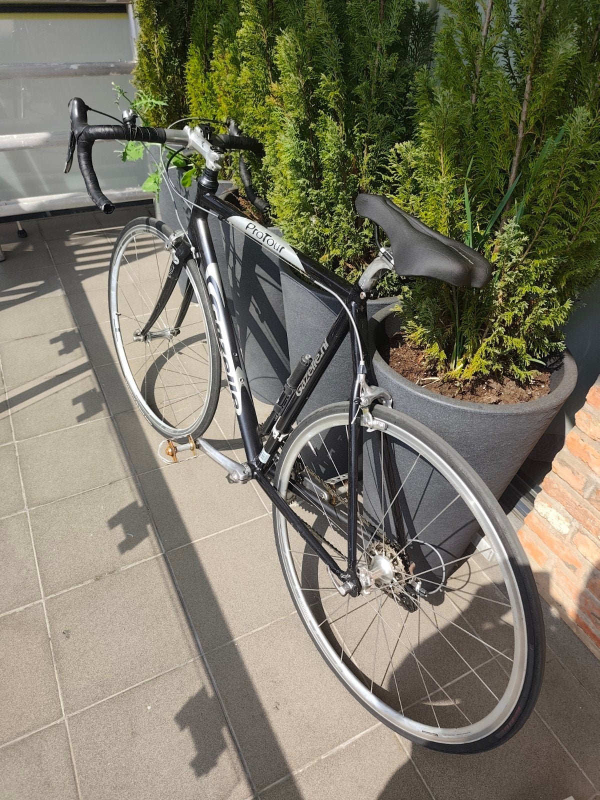 sportfiets te koop, Fietsen en Brommers, Ophalen