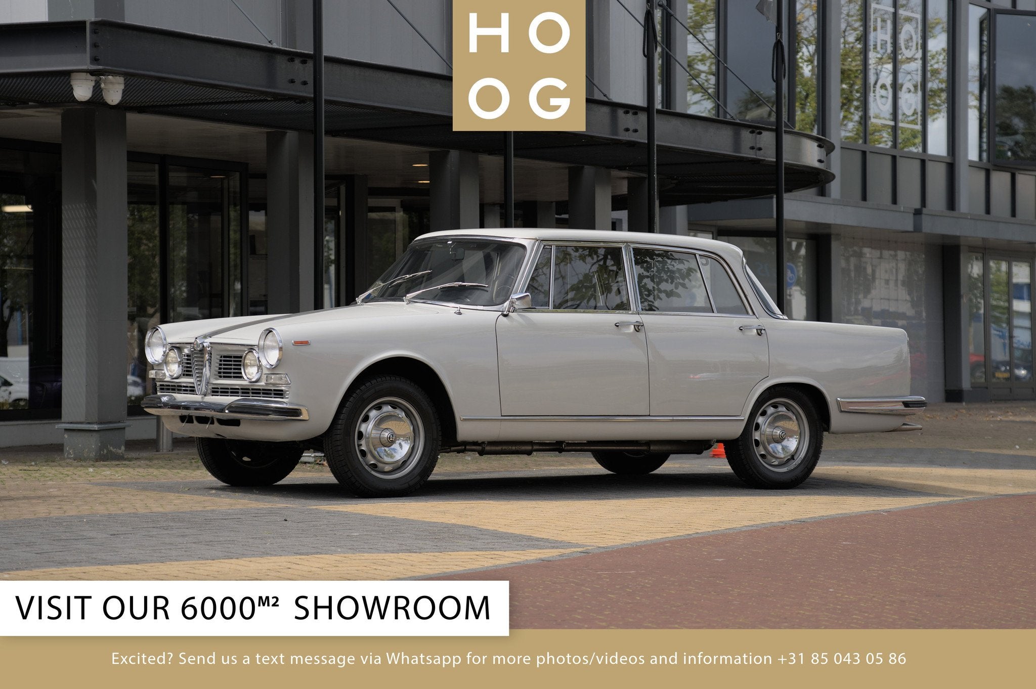 Alfa Romeo 2600 Berlina, Cuir, Autres modèles, Achat, Intérieur cuir