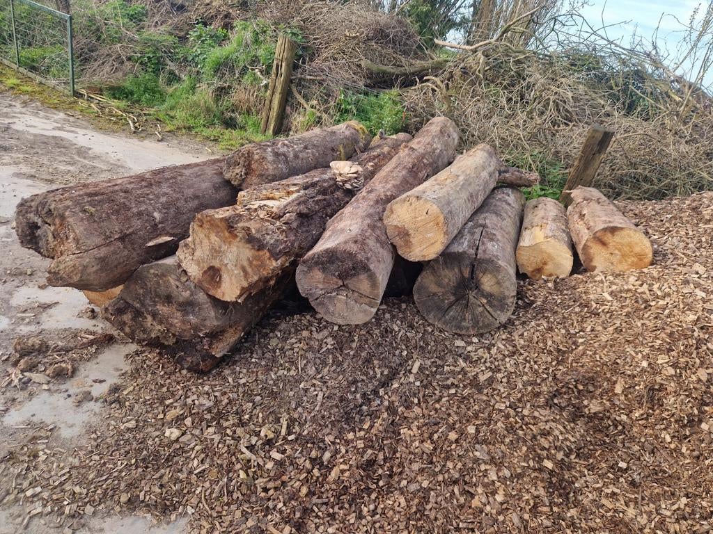 troncs d'arbres à vendre, Enlèvement
