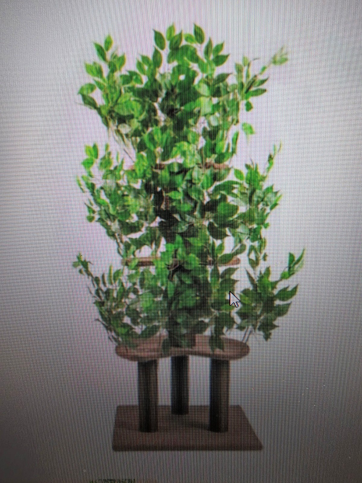 Kattenboom van viervoeter 165x60x60, Dieren en Toebehoren, Ophalen, Nieuw