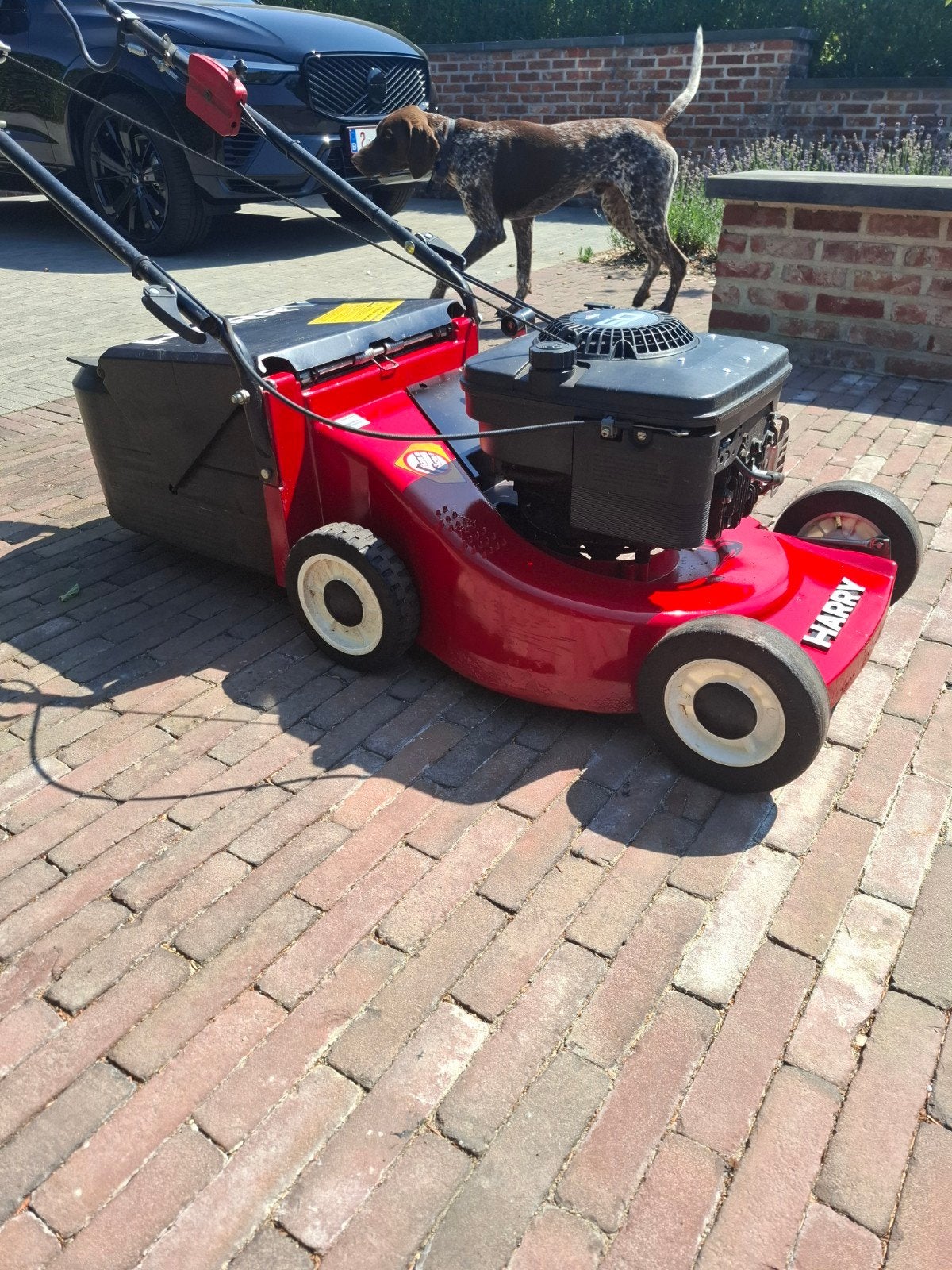 Harry zelftrekker, Tuin en Terras, Grasmaaiers, Ophalen