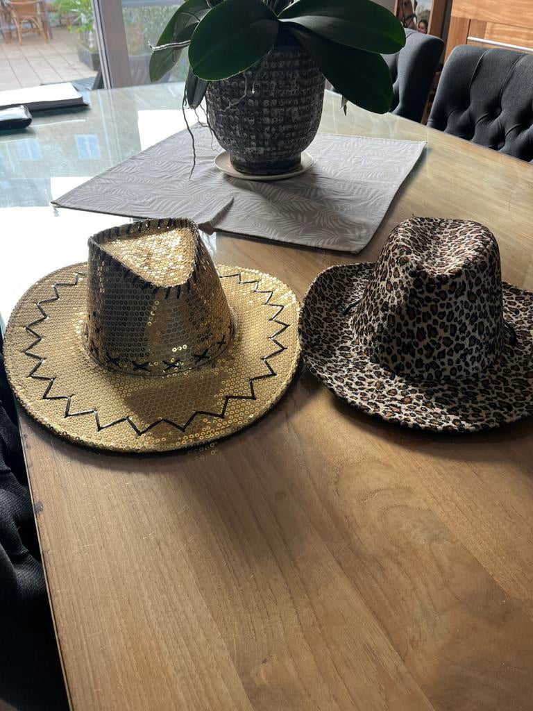 2 cowboyhoeden, Kleding | Heren, Hoeden en Petten, Ophalen