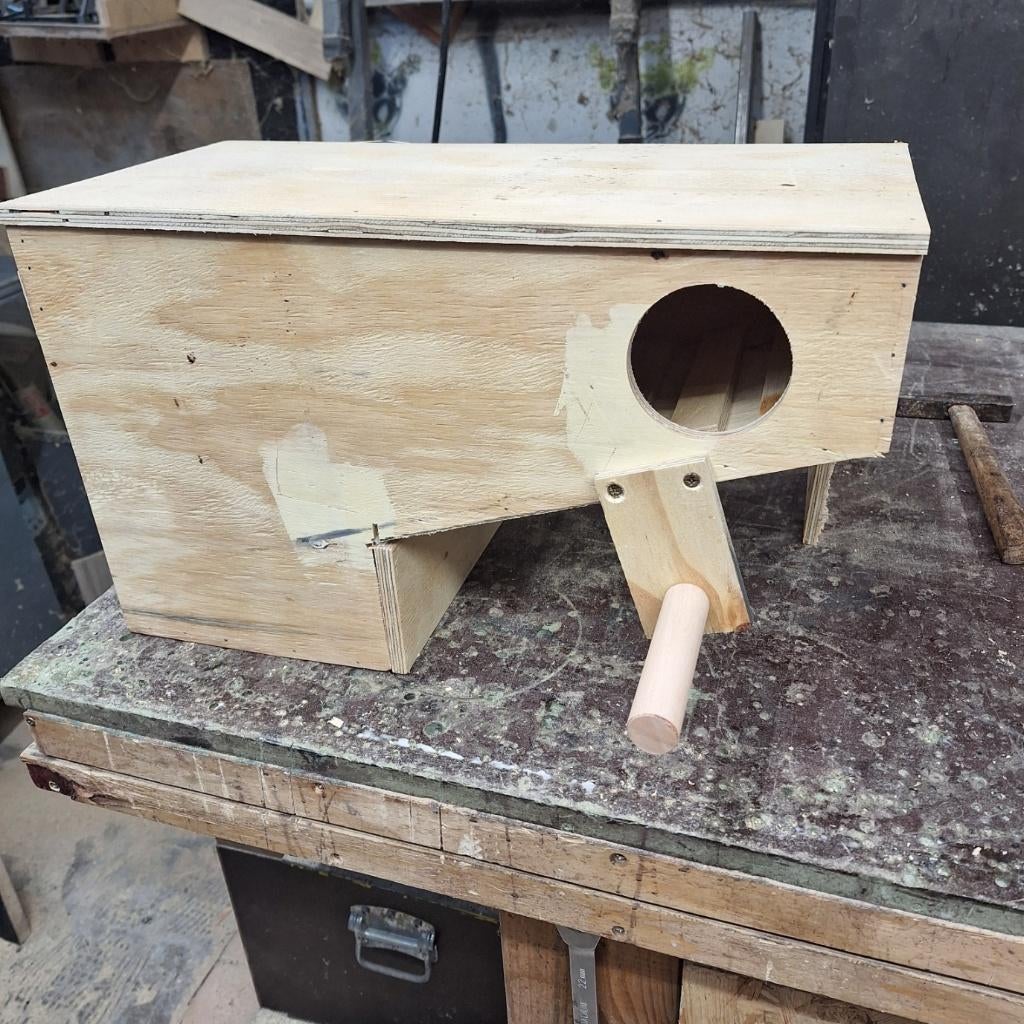 Nestblok voor lori en splendit parkieten, Geslacht onbekend, Dwergpapegaai of Agapornis