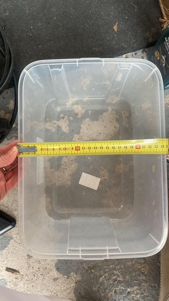 Allibert bakken met deksel, Ophalen, Minder dan 50 cm, Zo goed als nieuw, Minder dan 40 cm