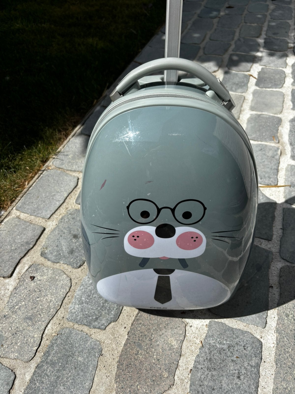 Étui de voyage à roulettes pour enfants, Enfants & Bébés, Produits pour enfants, Utilisé, Enlèvement