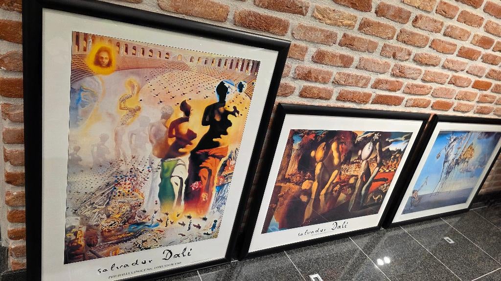 3 Kaders Salvador Dali, Antiek en Kunst, Ophalen