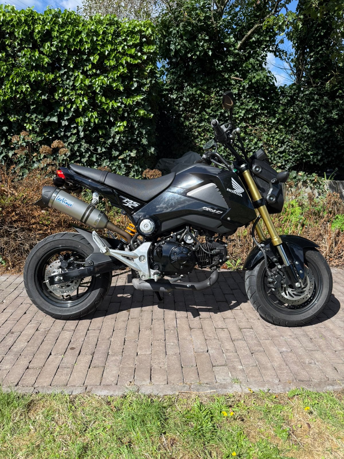 Honda MSX 125 (GROM), Motoren, Gebruikt, Particulier, 125 cc, Overig