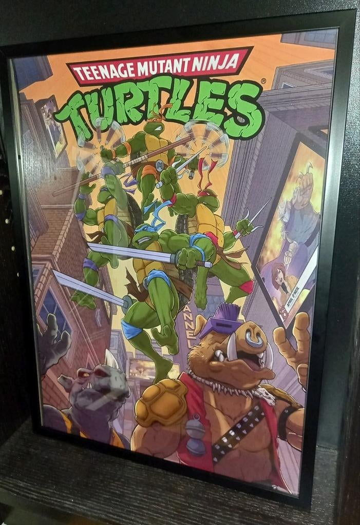 Teenage mutant ninja turtles, Ophalen of Verzenden