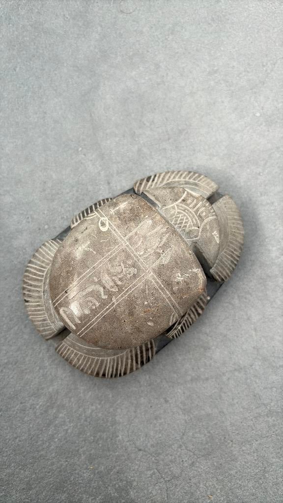Egyptisch scarabee, Ophalen