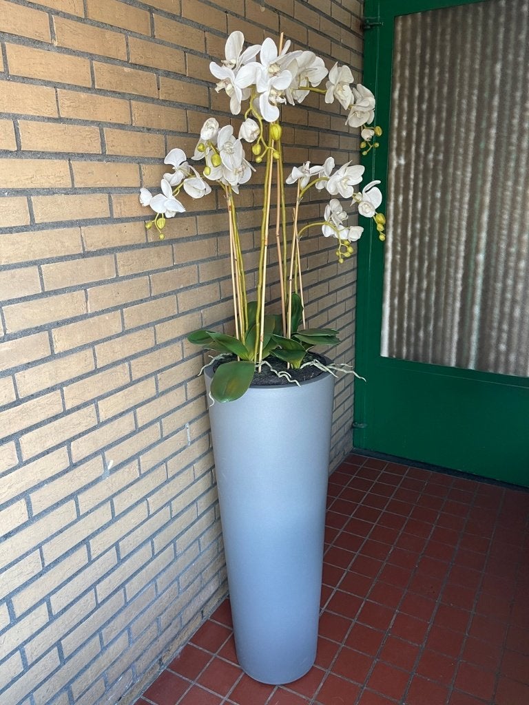 Witte zijden kunstorchidee in hoge pot, Ophalen, Binnen, Onderhoudsvrij, Kunstplant
