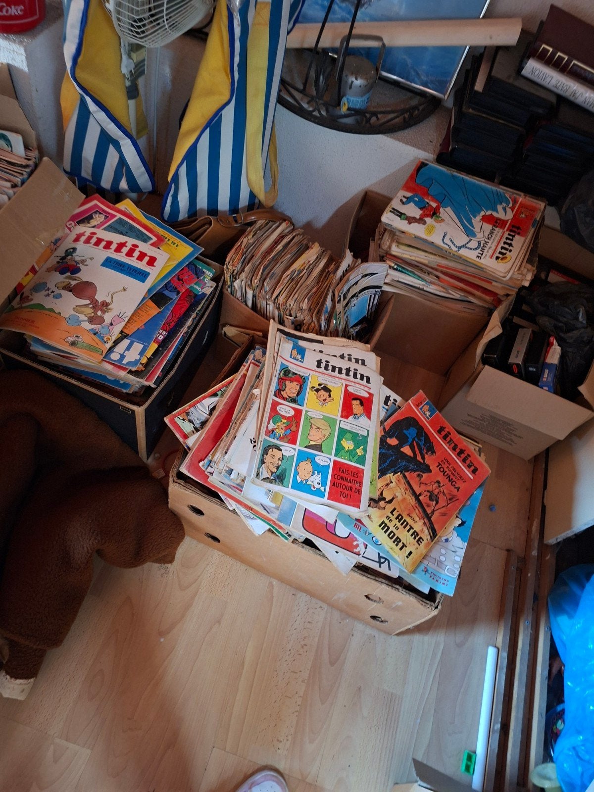 Bd de tintin et de spirou sa intéresse quelqu'un, Enlèvement