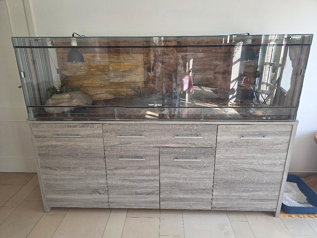 Terrarium - 200x60x60, Animaux & Accessoires, Enlèvement, Utilisé, Terrarium ou Paludarium