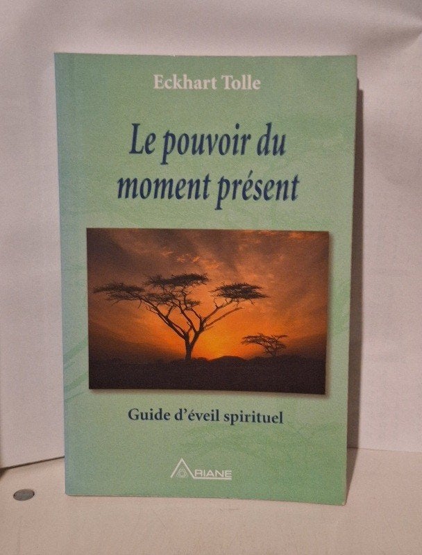 Le pouvoir du moment présent, Livres, Enlèvement ou Envoi