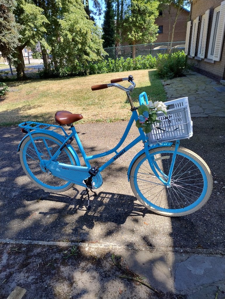 Meisjes Fiets, Fietsen en Brommers, Terugtraprem, 22 inch, Gebruikt, Ophalen