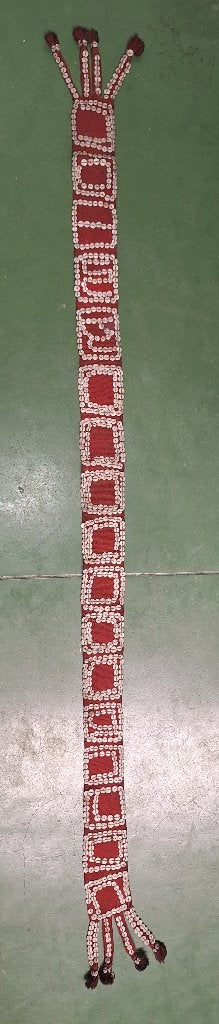 Riem uit Paraguay, Enlèvement ou Envoi