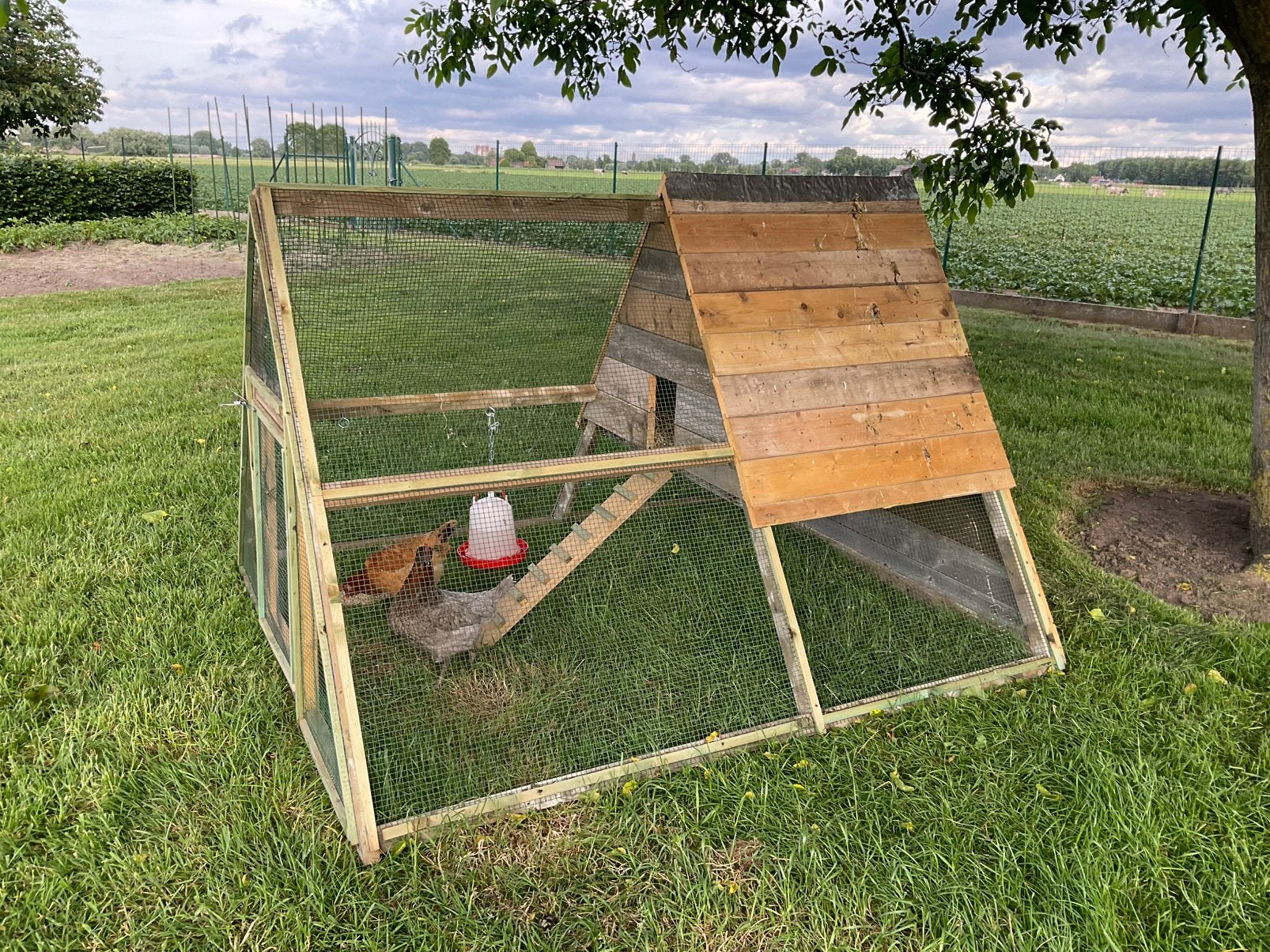 Nieuw kippenhok, Animaux & Accessoires, Volatiles, Poule ou poulet