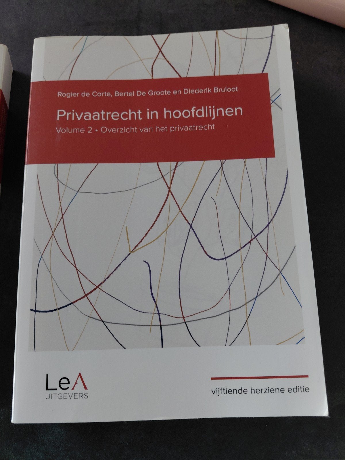 Rogier de Corte - Privaatrecht in hoofdlijnen 15de editie, Ophalen, Rogier de Corte; Bertel De Groote; Diederik Bruloot
