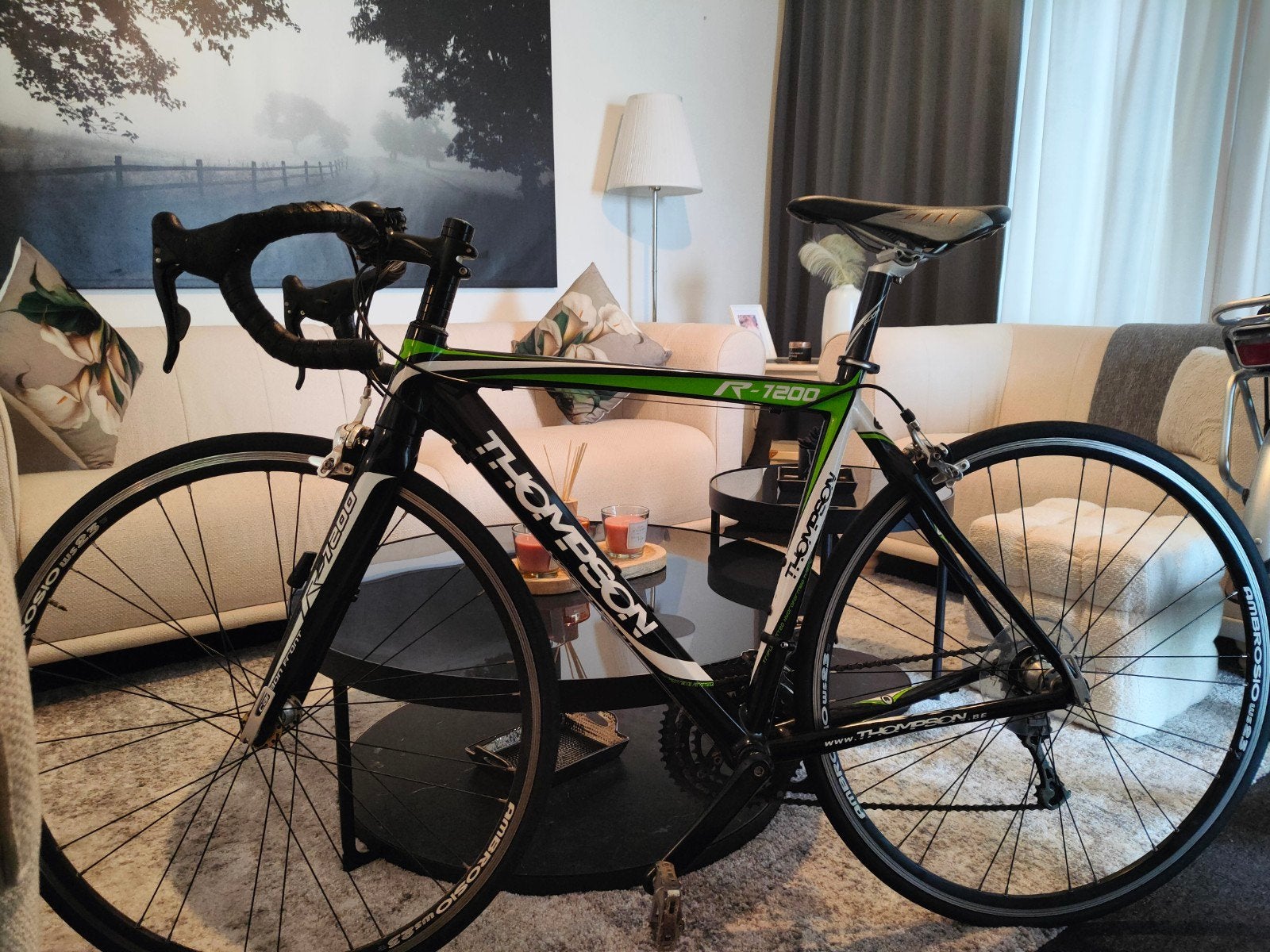 Vélo de route Thompson Vélo de course, Autres marques, Frein sur jante, 49 à 53 cm, Comme neuf