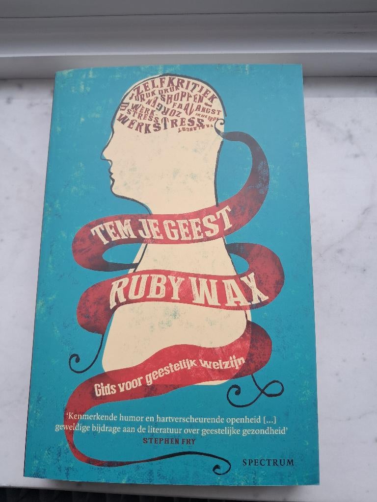 Tem je geest - Ruby Wax, Livres, Psychologie, Neuf, Enlèvement ou Envoi, Ruby Wax, Psychologie cognitive