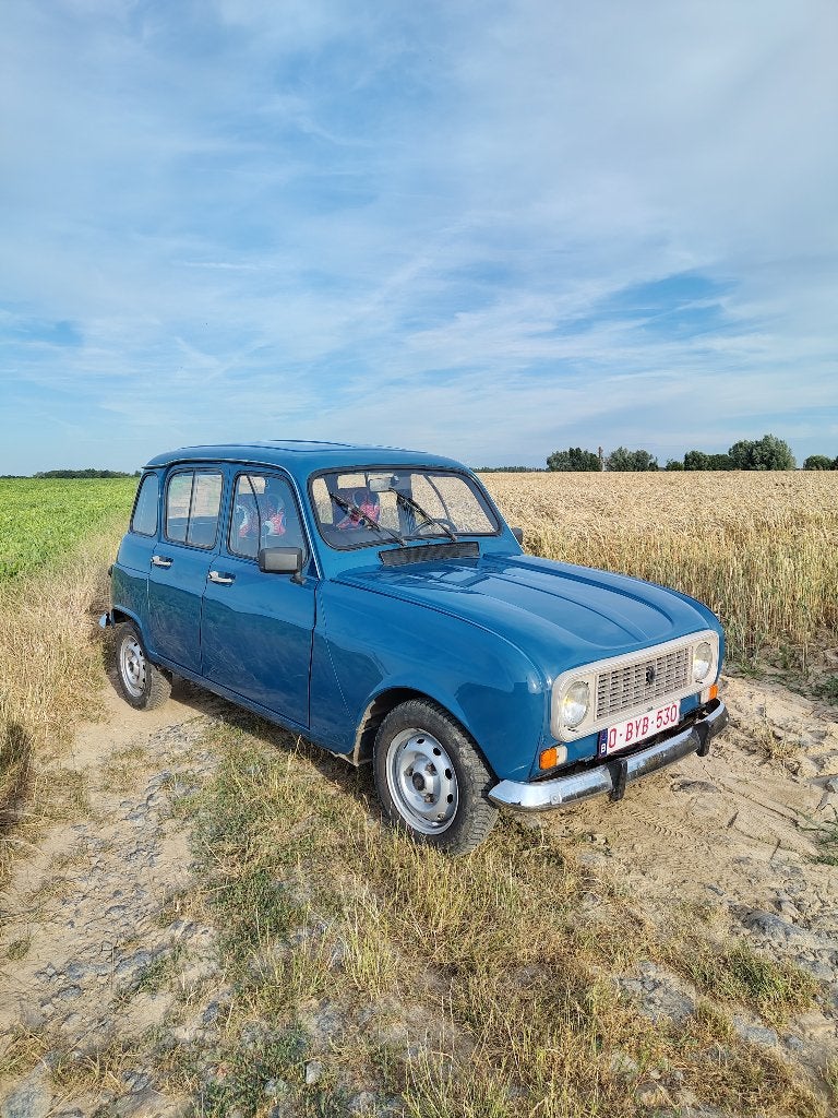 Renault 4 1992 (4L), Auto's, Voorwielaandrijving, Zwart, 4 cilinders, Blauw