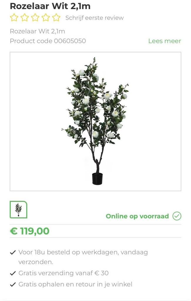 kunst Rozelaar wit – 2,1 meter hoog, Ophalen