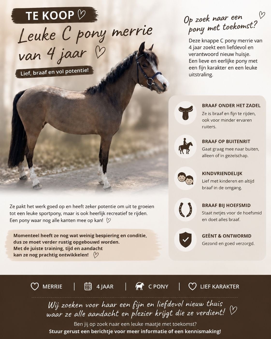 Allround C pony met gouden karakter !, Dieren en Toebehoren, Pony's, Merrie, C pony (1.27m tot 1.37m), 3 tot 6 jaar, Ontwormd