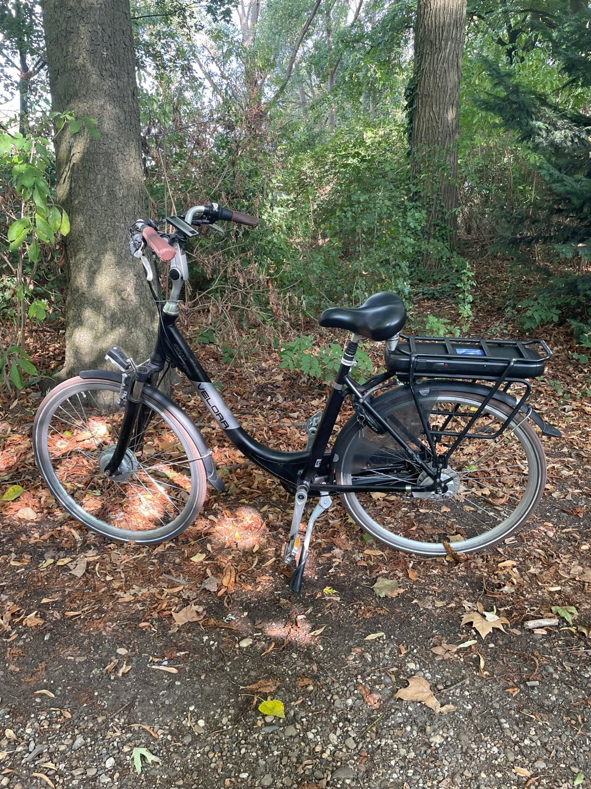 Elektrishe fiets, Ophalen of Verzenden, Zo goed als nieuw