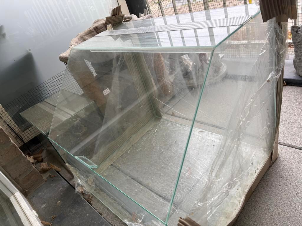 Glaze halster/muizen bak, Ophalen, Zo goed als nieuw, Overige typen, Muis