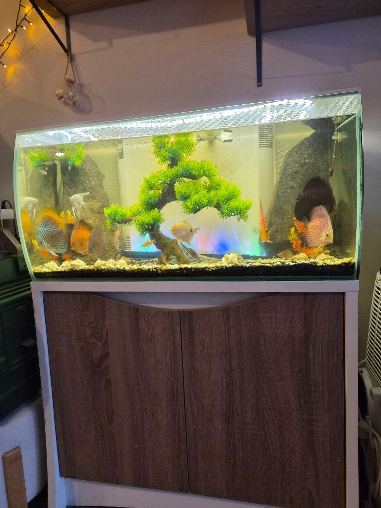 Aqaurium, Ophalen, Gebruikt, Inclusief deksel, Fluval